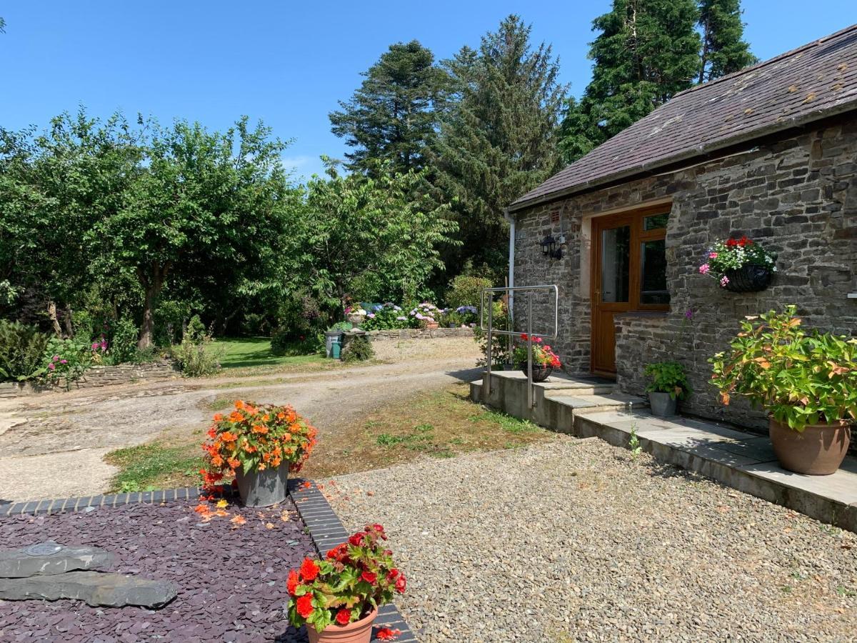 Parc Farm B&B Llanarth  Luaran gambar
